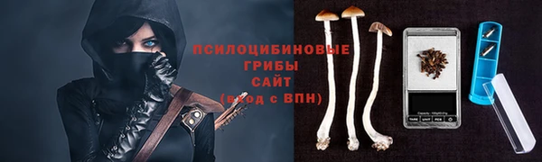 PSILOCYBIN Вяземский